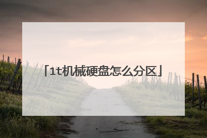 1t机械硬盘怎么分区