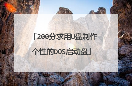 200分求用U盘制作个性的DOS启动盘