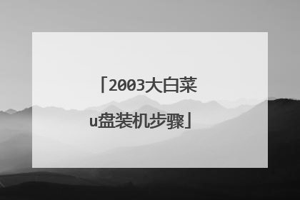 2003大白菜u盘装机步骤