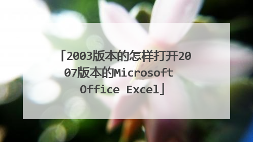 2003版本的怎样打开2007版本的Microsoft Office Excel