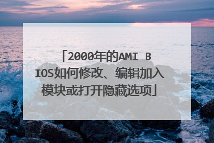2000年的AMI BIOS如何修改、编辑加入模块或打开隐藏选项