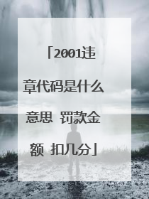 2001违章代码是什么意思 罚款金额 扣几分