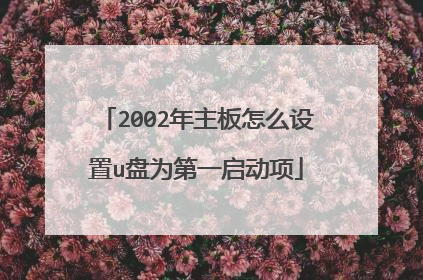 2002年主板怎么设置u盘为第一启动项