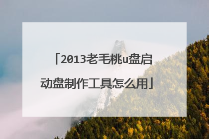 2013老毛桃u盘启动盘制作工具怎么用