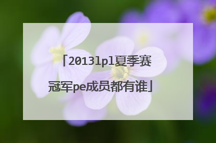 2013lpl夏季赛冠军pe成员都有谁