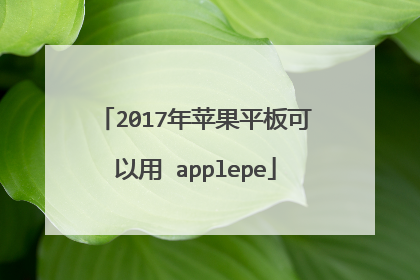 2017年苹果平板可以用 applepe