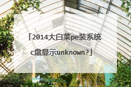 2014大白菜pe装系统c盘显示unknown?