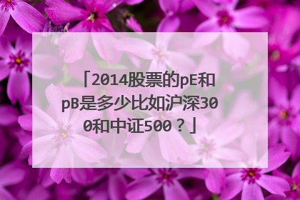 2014股票的pE和pB是多少比如沪深300和中证500?