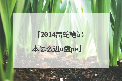 2014雷蛇笔记本怎么进u盘pe