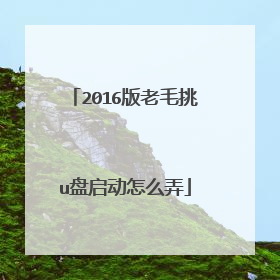 2016版老毛挑u盘启动怎么弄