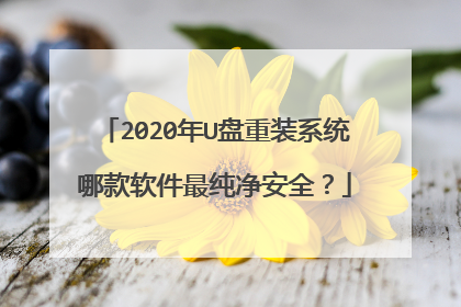 2020年U盘重装系统哪款软件最纯净安全?