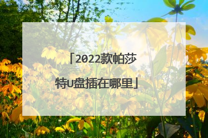 2022款帕莎特U盘插在哪里