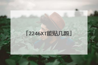 2246XT能贴几颗