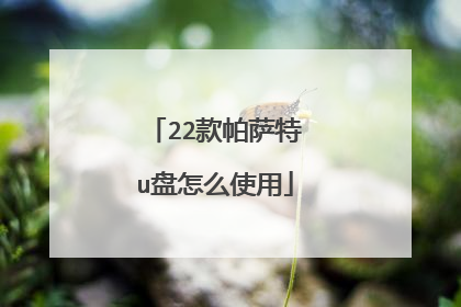 22款帕萨特u盘怎么使用