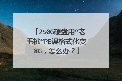 250G硬盘用“老毛桃”PE误格式化变8G,怎么办?