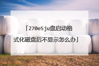 270e5ju盘启动格式化磁盘后不显示怎么办