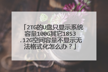2TG的U盘只显示系统容量100G其它1853.12G空间容量不显示无法格式化怎么办?