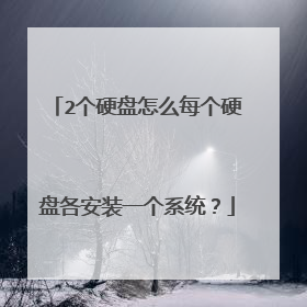 2个硬盘怎么每个硬盘各安装一个系统?