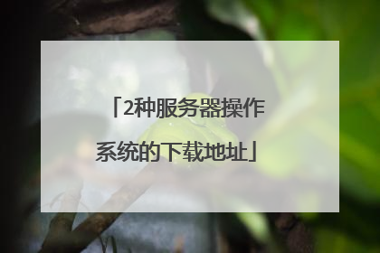 2种服务器操作系统的下载地址