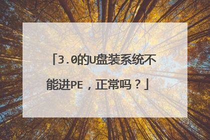 3.0的U盘装系统不能进PE,正常吗?