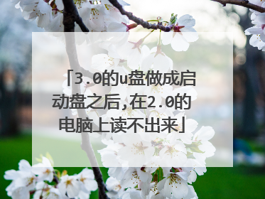 3.0的u盘做成启动盘之后,在2.0的电脑上读不出来