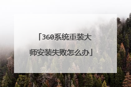 360系统重装大师安装失败怎么办