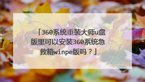 360系统重装大师u盘版里可以安装360系统急救箱winpe版吗?