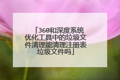 360和深度系统优化工具中的垃圾文件清理能清理注册表垃圾文件吗