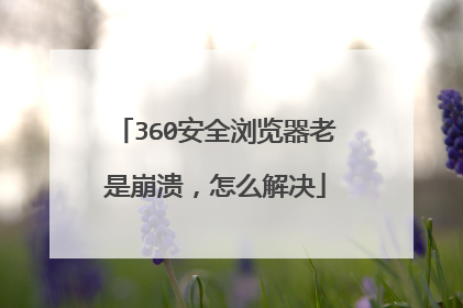 360安全浏览器老是崩溃,怎么解决