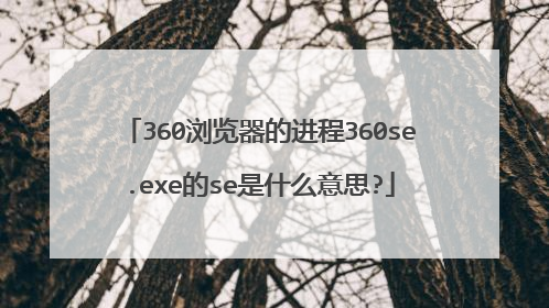 360浏览器的进程360se.exe的se是什么意思?