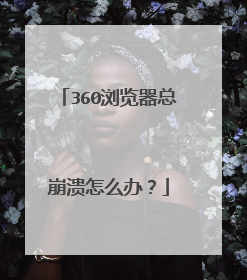 360浏览器总崩溃怎么办?