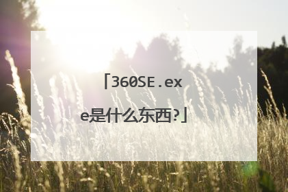 360SE.exe是什么东西?