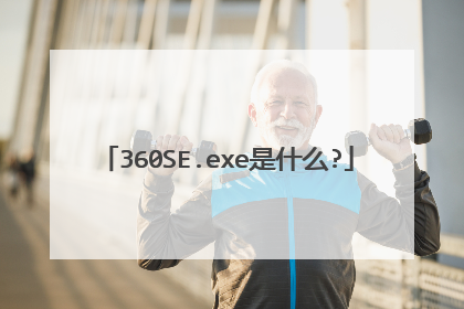 360SE.exe是什么?
