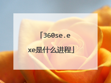 360se.exe是什么进程