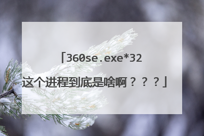 360se.exe*32这个进程到底是啥啊？？？
