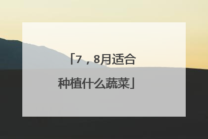 7,8月适合种植什么蔬菜