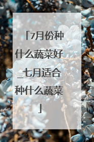 7月份种什么蔬菜好_七月适合种什么蔬菜