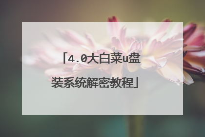 4.0大白菜u盘装系统解密教程