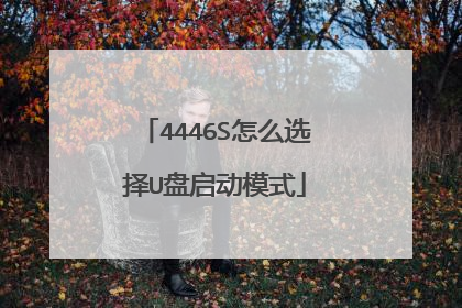 4446S怎么选择U盘启动模式