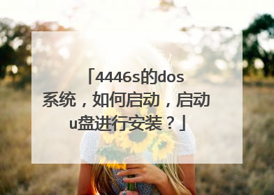 4446s的dos系统，如何启动，启动u盘进行安装？