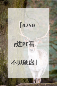 4750g进PE看不见硬盘