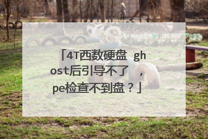 4T西数硬盘 ghost后引导不了 ，pe检查不到盘？