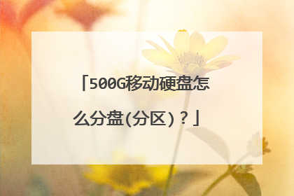 500G移动硬盘怎么分盘(分区)?