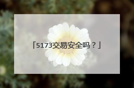 5173交易安全吗？