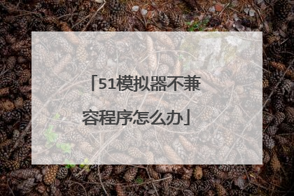 51模拟器不兼容程序怎么办