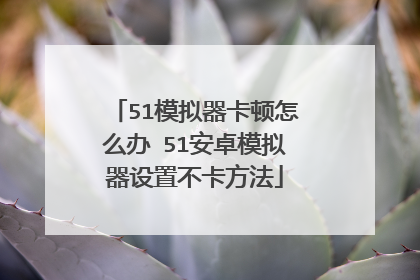 51模拟器卡顿怎么办 51安卓模拟器设置不卡方法