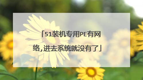 51装机专用PE有网络,进去系统就没有了