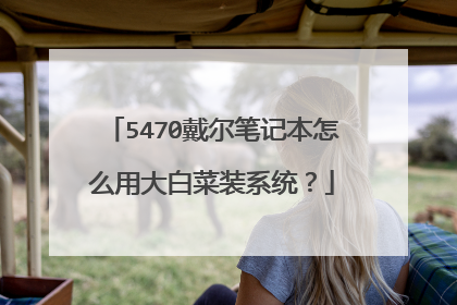 5470戴尔笔记本怎么用大白菜装系统?