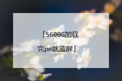 5600G加载完pe就蓝屏