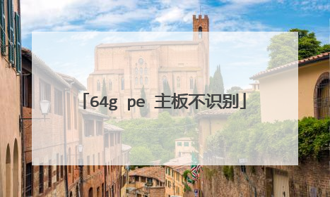 64g pe 主板不识别
